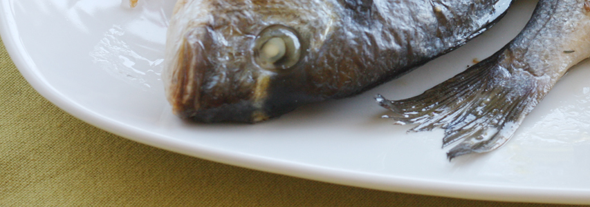 Cuisine et dépendances